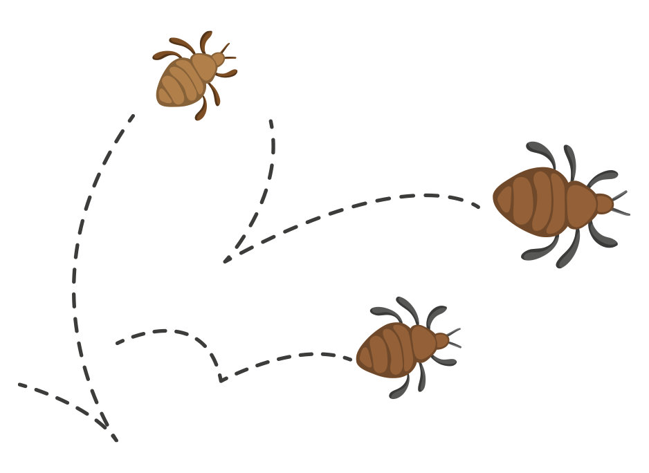 Lice